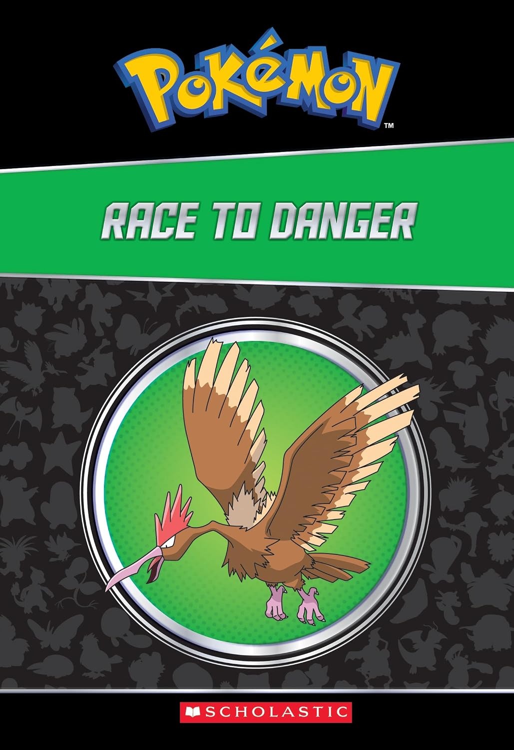 Pokemon: The Champion Collection (20 Chapter Books) race to danger